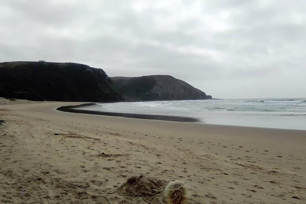 Wildview Self Catering Cottages Coffee Bay, Breakfast & Wi-Fi Inc エクステリア 写真