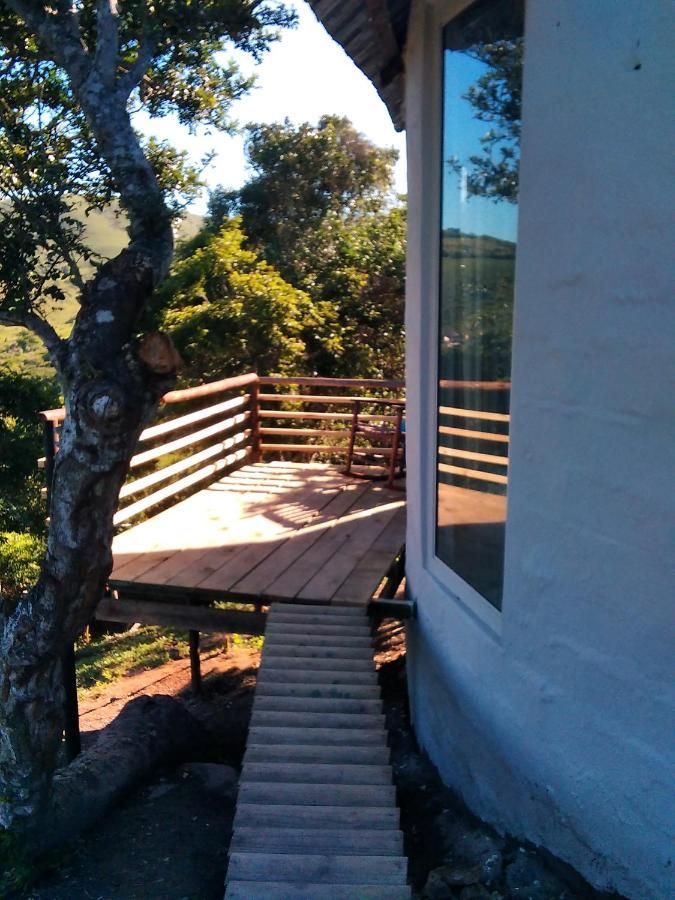 Wildview Self Catering Cottages Coffee Bay, Breakfast & Wi-Fi Inc エクステリア 写真