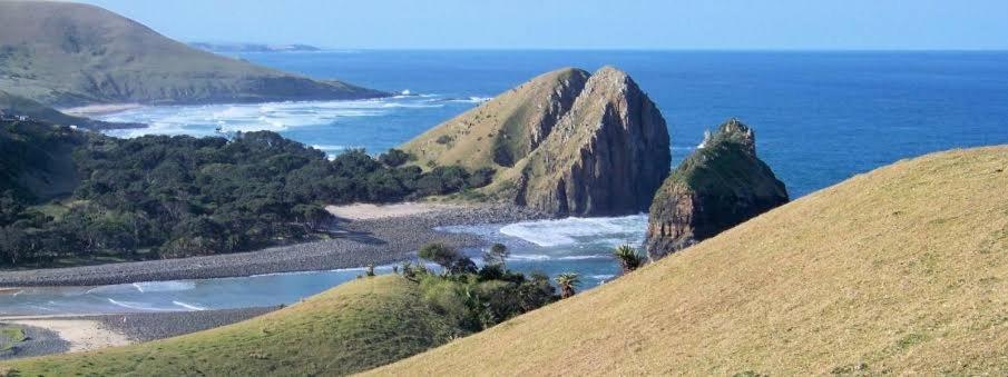 Wildview Self Catering Cottages Coffee Bay, Breakfast & Wi-Fi Inc エクステリア 写真