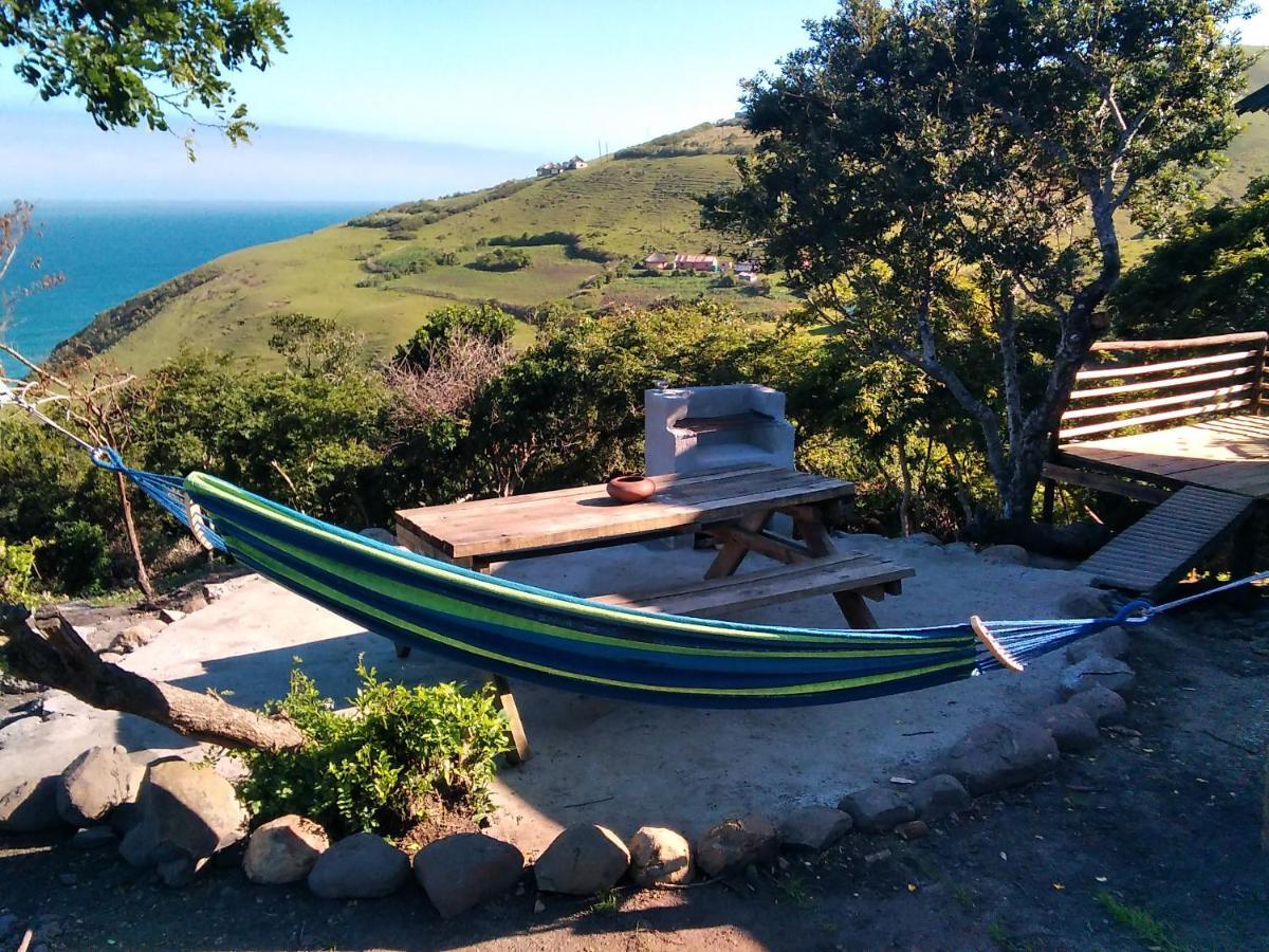 Wildview Self Catering Cottages Coffee Bay, Breakfast & Wi-Fi Inc エクステリア 写真